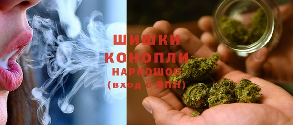 стаф Белокуриха