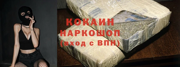 стаф Белокуриха