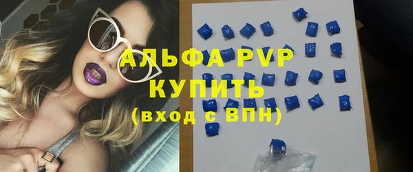 стаф Белокуриха