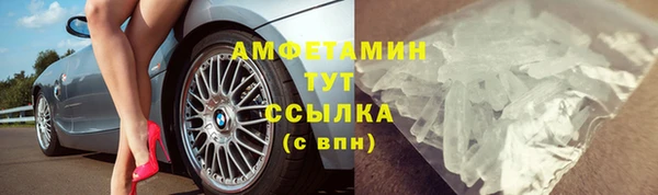 стаф Белокуриха