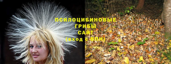 тгк Белоозёрский