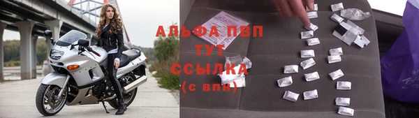 сатива Беломорск