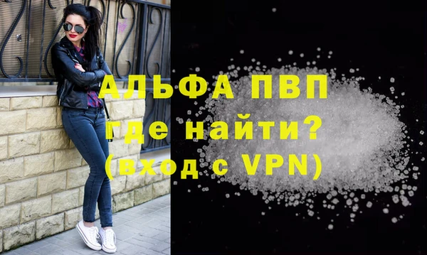 стаф Белокуриха