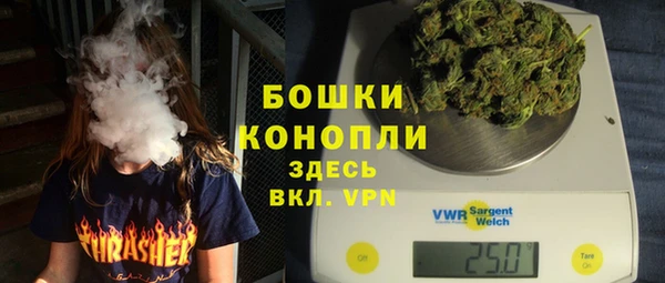 сатива Беломорск