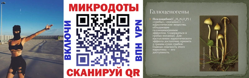 цена наркотик  Шагонар  Псилоцибиновые грибы прущие грибы 